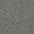 Finesse Titanium Carpet - Titanium / 2.5m