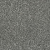 Finesse Titanium Carpet - Titanium / 2.5m