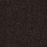 Finesse Bourneville Carpet - Bourneville / 2.5m