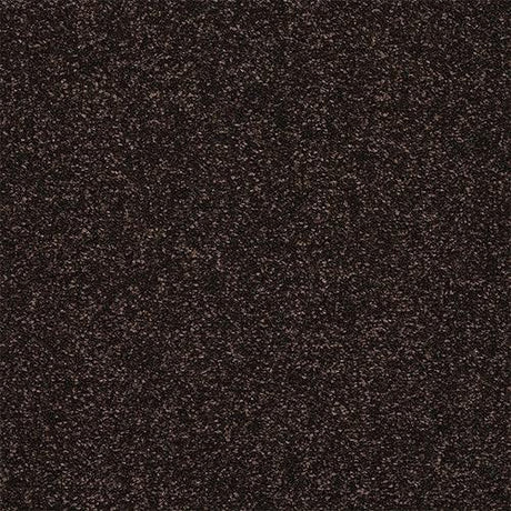 Finesse Bourneville Carpet - Bourneville / 2.5m