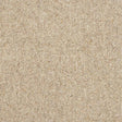 Royal Sovereign Biscotti Carpet - Biscotti / 2.5m