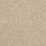 Royal Sovereign Biscotti Carpet - Biscotti / 2.5m