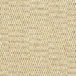 Royal Windsor New Pine Carpet - New Pine / 5m