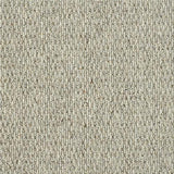 Royal Windsor Husky Grey Carpet - Husky Grey / 5m