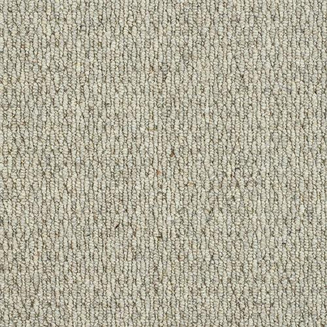 Royal Windsor Husky Grey Carpet - Husky Grey / 5m