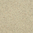 Charter Berber Deluxe Pumice Carpet - Pumice / 2.5m