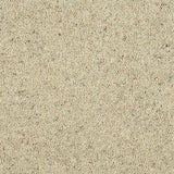Charter Berber Deluxe Pumice Carpet - Pumice / 2.5m