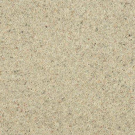 Charter Berber Deluxe Pumice Carpet - Pumice / 2.5m