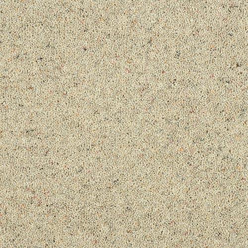 Charter Berber Deluxe Pumice Carpet - Pumice / 2.5m