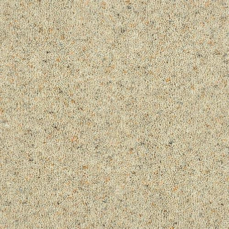 Charter Berber Deluxe Nutmeg Carpet - Nutmeg / 2.5m