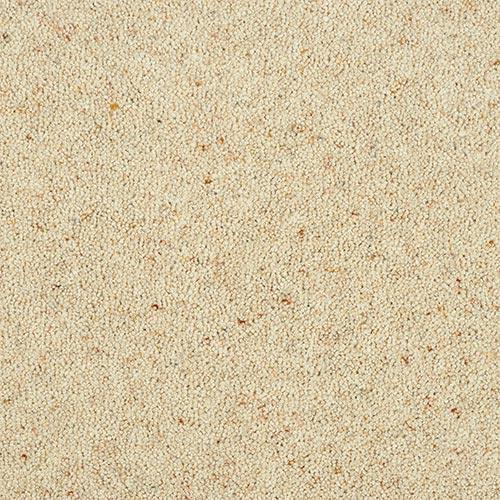 Charter Berber Deluxe Irish Cream Carpet - Irish Cream / 2.5m