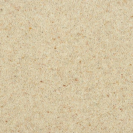 Charter Berber Deluxe Irish Cream Carpet - Irish Cream / 2.5m