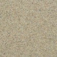 Charter Berber Deluxe Flax Carpet - Flax / 2.5m