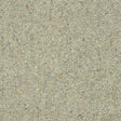Charter Berber Deluxe Dove Grey Carpet - Dove Grey / 2.5m
