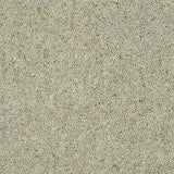 Charter Berber Deluxe Dove Grey Carpet - Dove Grey / 2.5m
