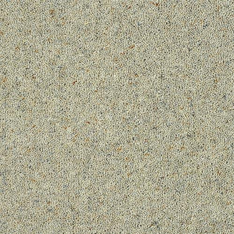 Charter Berber Deluxe Dove Grey Carpet - Dove Grey / 2.5m