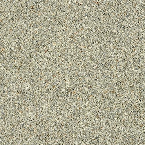 Charter Berber Deluxe Dove Grey Carpet - Dove Grey / 2.5m