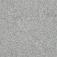 Charter Berber Deluxe Dolphin Grey Carpet - Dolphin Grey / 2.5m