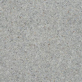 Charter Berber Deluxe Dolphin Grey Carpet - Dolphin Grey / 2.5m