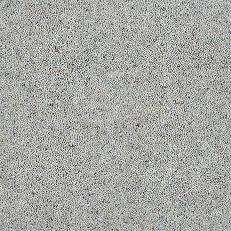 Charter Berber Deluxe Dolphin Grey Carpet - Dolphin Grey / 2.5m