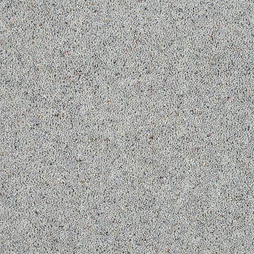 Charter Berber Deluxe Dolphin Grey Carpet - Dolphin Grey / 2.5m