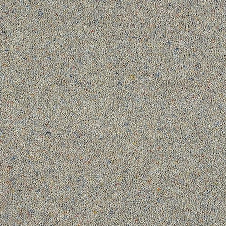 Charter Berber Deluxe Silver Mist Carpet - Silver Mist / 2.5m
