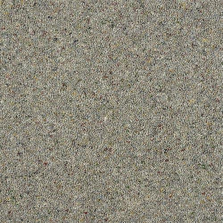 Charter Berber Deluxe Pewter Carpet - Pewter / 2.5m