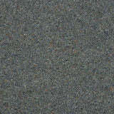 Charter Berber Deluxe Slate Carpet - Slate / 2.5m