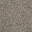 Charter Berber Deluxe Dapple Carpet - Dapple / 2.5m