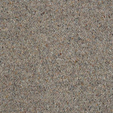 Charter Berber Deluxe Dapple Carpet - Dapple / 2.5m