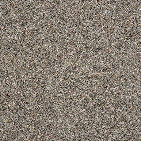 Charter Berber Deluxe Dapple Carpet - Dapple / 2.5m
