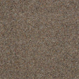 Charter Berber Deluxe Pecan Carpet - Pecan / 2.5m