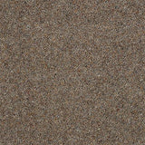 Charter Berber Deluxe Pecan Carpet - Pecan / 2.5m