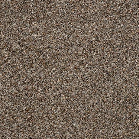 Charter Berber Deluxe Pecan Carpet - Pecan / 2.5m