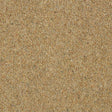 Charter Berber Deluxe Sandstone Carpet - Sandstone / 2.5m