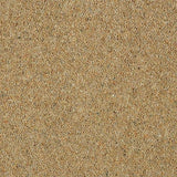 Charter Berber Deluxe Sandstone Carpet - Sandstone / 2.5m