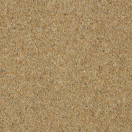 Charter Berber Deluxe Sandstone Carpet - Sandstone / 2.5m