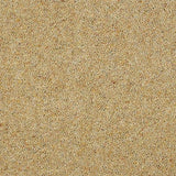 Charter Berber Deluxe Honey Gold Carpet - Honey Gold / 2.5m