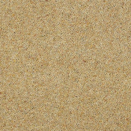 Charter Berber Deluxe Honey Gold Carpet - Honey Gold / 2.5m