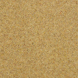 Charter Berber Deluxe Summer Sun Carpet - Summer Sun / 2.5m