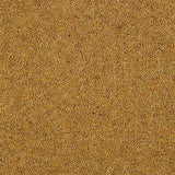 Charter Berber Deluxe Mustard Carpet - Mustard / 2.5m