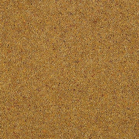 Charter Berber Deluxe Mustard Carpet - Mustard / 2.5m
