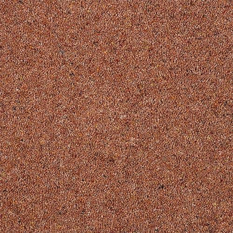 Charter Berber Deluxe Cinnamon Carpet - Cinnamon / 2.5m