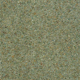 Charter Berber Deluxe Sage Carpet - Sage / 2.5m