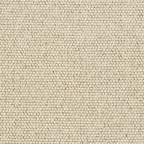 Charter Berber Loop Irish Cream Carpet - Irish Cream / 2.5m