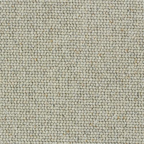 Charter Berber Loop Dove Grey Carpet - Dove Grey / 2.5m