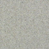 Charter Berber Loop Dolphin Grey Carpet - Dolphin Grey / 2.5m