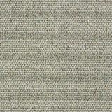 Charter Berber Loop Pewter Carpet - Pewter / 2.5m