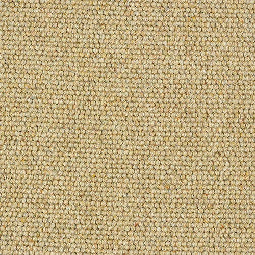 Charter Berber Loop Honey Gold Carpet - Honey Gold / 2.5m
