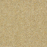 Charter Berber Loop Honey Gold Carpet - Honey Gold / 2.5m